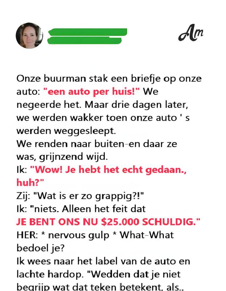 Onze bemoeizuchtige buurvrouw heeft onze auto’s van onze eigen oprit laten slepen – ze heeft er een hoge prijs voor betaald