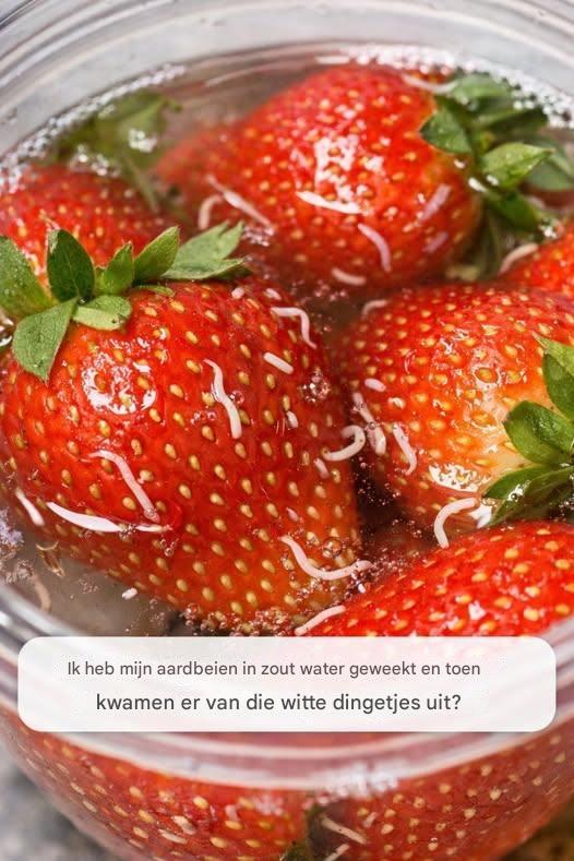 Ik heb mijnenarboria in zoutwater geweekt en teen komen er van die witte dingetjes uit?