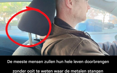 Volledig artikel