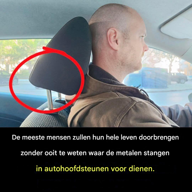 Volledig artikel