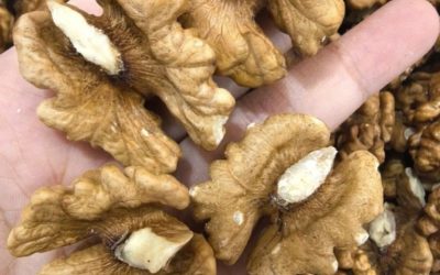 Artsen onthullen dat het eten van walnoten… geweldige dingen veroorzaakt voor je hart, hersenen en gezondheid op lange termijn!