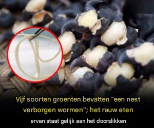 5 groenten die je nooit rauw moet eten – ze kunnen wormnesten verbergen die veranderen in parasieten in je maag