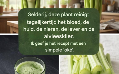 Ontdek de plant die in één dosis je bloed zuivert, je huid regenereert en je nieren, lever en alvleesklier diep reinigt