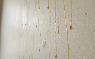 Gele druppels op badkamer muren? Dit is wat dat kleverige gele spul zou kunnen zijn