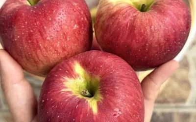 Waarom appels worden beschouwd als een krachtige dagelijkse vrucht voor wellness