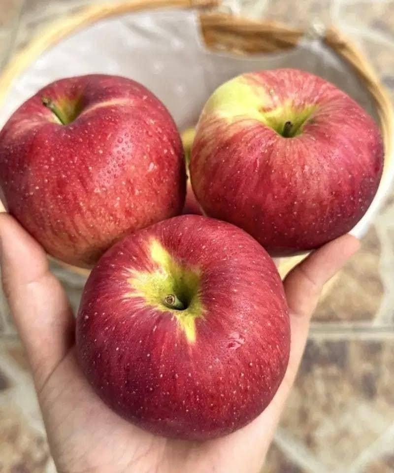 Waarom appels worden beschouwd als een krachtige dagelijkse vrucht voor wellness