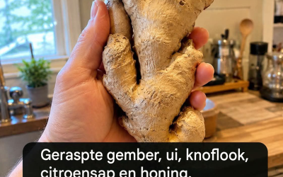Gember Knoflook Ui En Citroen Mix Reinigt Je Lichaam En Longen Snel