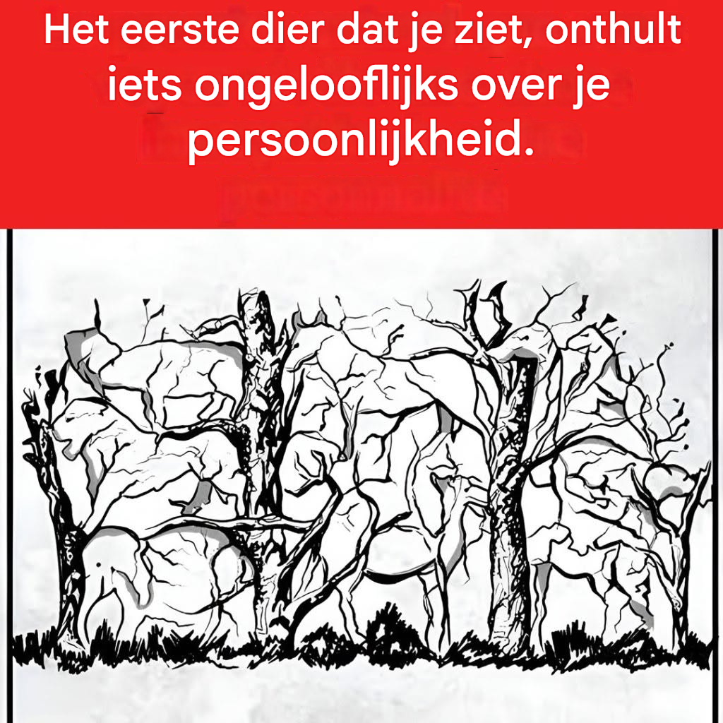 Het eerste dier dat je zult zien, zal dingen over je persoonlijkheid onthullen
